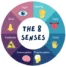 8 different Senses